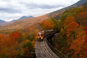 Read more about the article Amtrak Booking Worldwide | Book Trains Online Easily